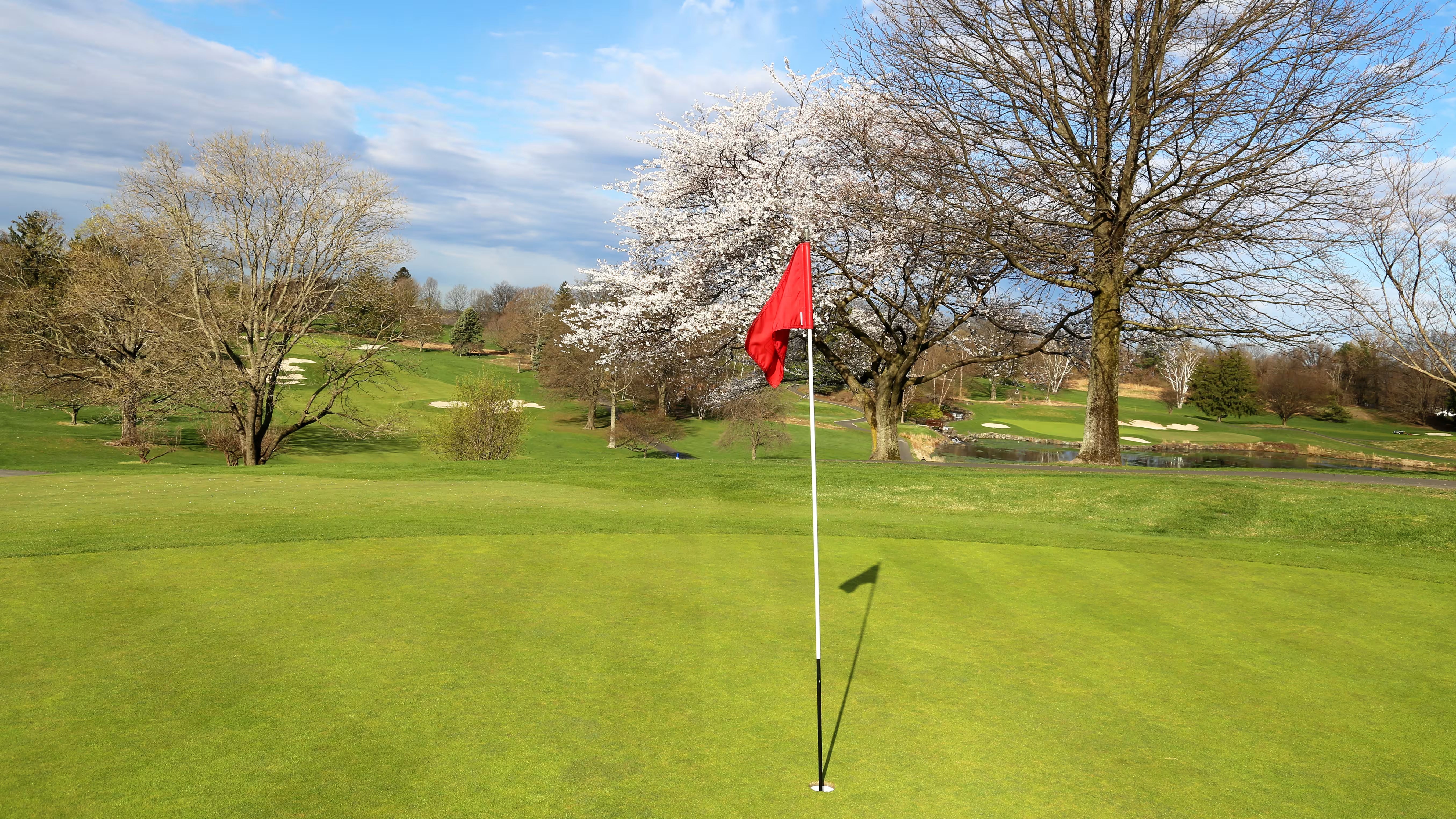 Golf Spring Is Coming Bad Cards Fore Good Golfers (MAIN GAME)